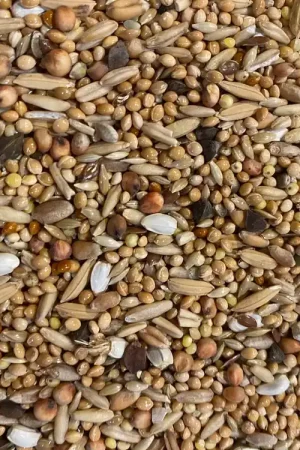 Boer Agapornidenzaad 5 kilo Speciale Aanbieding